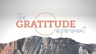 The Gratitude Experiment: Week 1 (11.7.21)