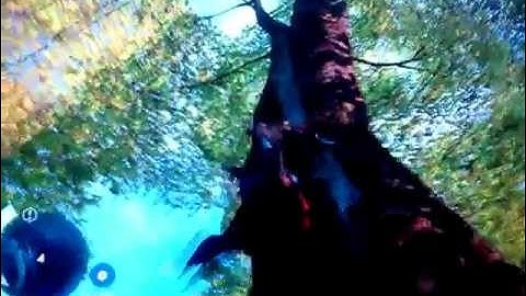 Assassins creed 3 Tree Viewpoint