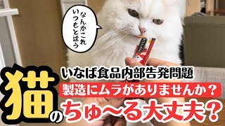 [Shocking] This is the cat's shedding period! Endless hair loss, by ぽんもち日記 606 views 9 days ago 14 minutes, 58 seconds
