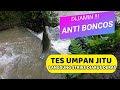 Racikan umpan ikan sungai jitu dites apakah gacor dan tahan diarus deras