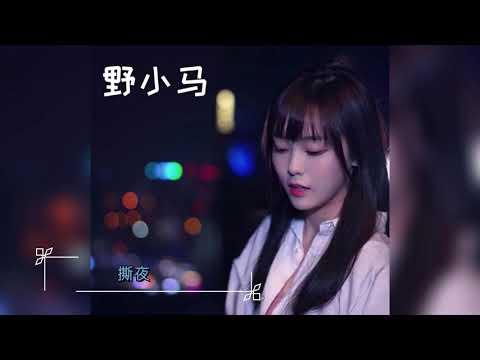 撕夜 - 野小马