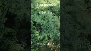 Natural Hair Dye Indigo Leaf Paper