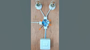 Easy! 2 Gang Switch Wiring #electricalwiring #electrical #wiring #diy #shorts #lightswitch #electric