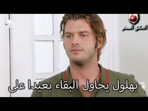 بهلول يحاول البقاء بعيدا على بيتر العشق الممنوع الحلقة 46 