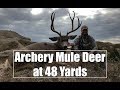 Spot & Stalk Mule Deer at 48 Yards