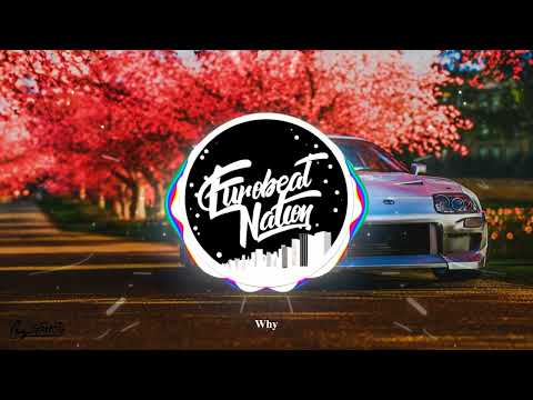 Victoria Stay Lyrics And Visualizer