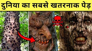 दुनिया के सबसे खतरनाक पेड़ |Most Dangerous Trees in the World | #shorts #tree #dangerous