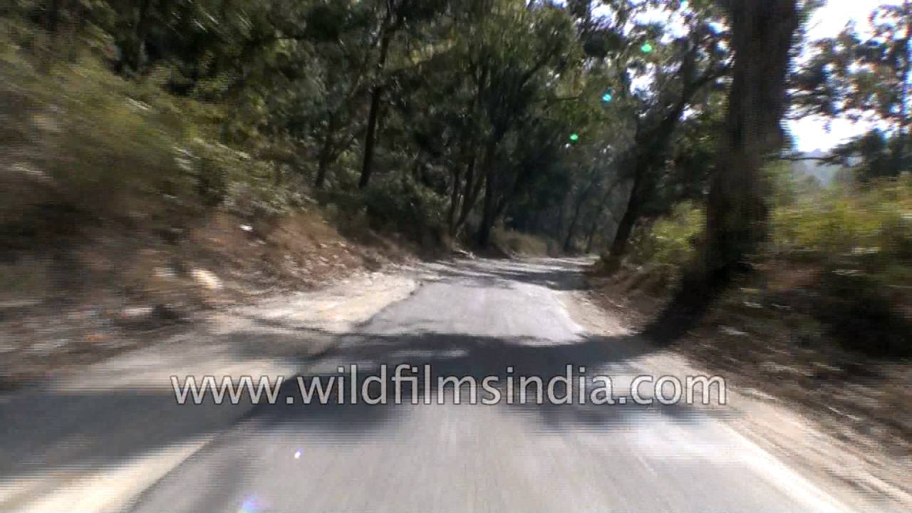 Driving on Marchula road through Bakrakot to Mohand