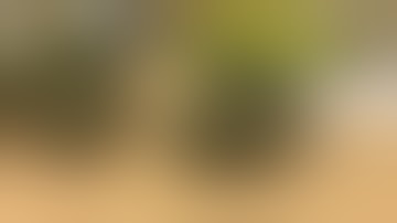 Inkbird smart temperature controller ITC-308-wifi