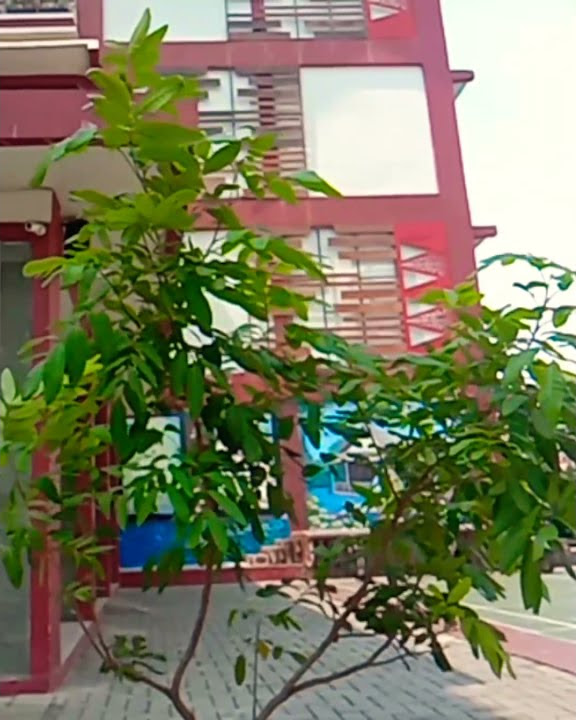 story wa 30 detik ll gedung sekolah #shorts