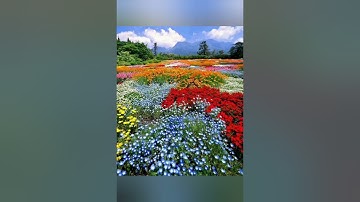 سورة:(الحديد) بصوت الشيخ صلاح بو خاطر