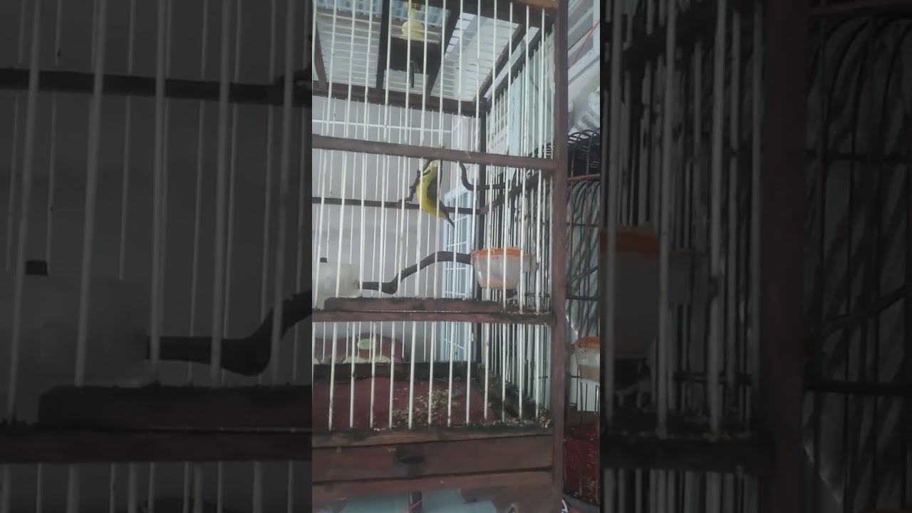 mái này kích trống khỏi bàn lun quá trới cái nết