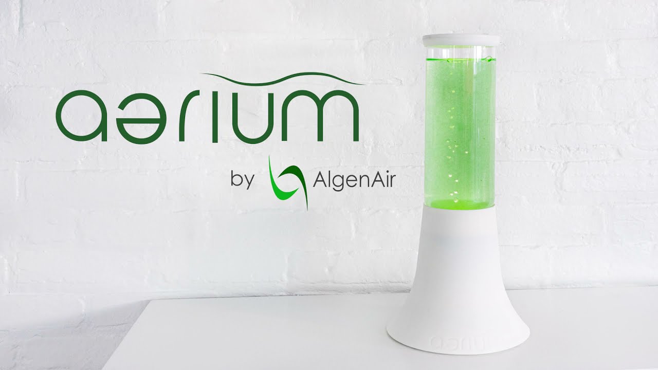 AlgenAir Natural Air Purifier Bundle // aerium + 2 Free Refills video thumbnail