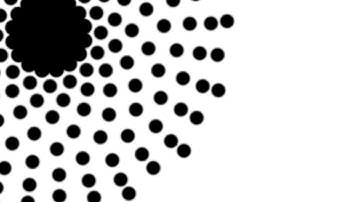 DRAWING ANIMATION 2020 - Procreate, Clip Studio, Astropad, Autodesk Sketchbook, Affinity Photo? 2020