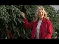 🎄Білий дім:привезли ялинку.Джилл Байден зустрічає🎄🎆 Jill Biden receives White House Christmas Tree
