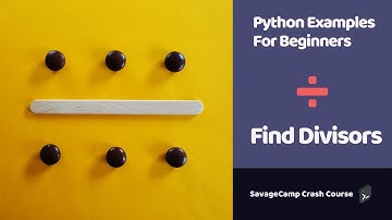Python Example For Beginners | Find Divisors | SavageCamp