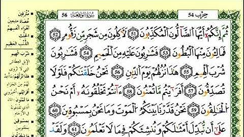 76-51: الصفحة 536 :سورة الواقعة من الآية