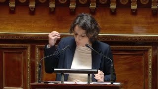 Transidentité des mineurs: Mélanie Vogel s'oppose fermement  au texte LR by Public Sénat 7,116 views 1 day ago 3 minutes, 1 second