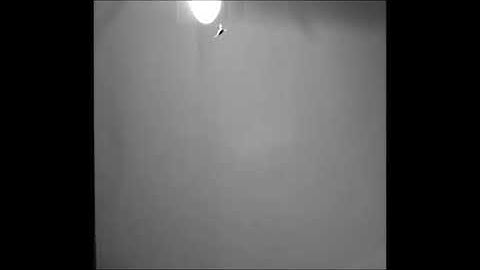 The aerodynamics of flight in an insect flight-mill