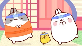 Molang and Piu Piu : The KUNG FU Masters | Funny Compilation For Kids