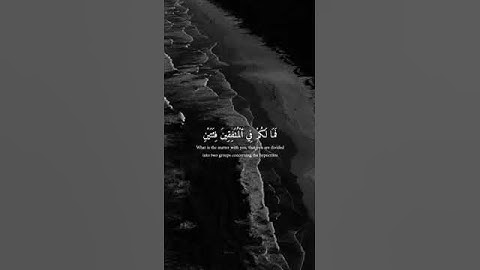 #القارئ_بلال_دربالي تلاوة هادئة من سورة النساء 🤍