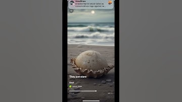 Shell (Full Version)