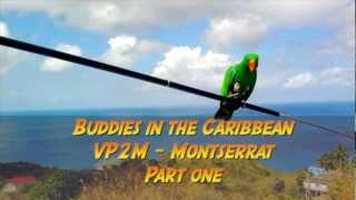 アンテナ W3FF BUDDIPOLE The Buddipole™ - HF portable dipole antenna system