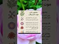 اعشاب فوائد الشيح علاج السرطان موت الخلايا السرطانية مضاد التهاب 
