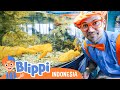 Belajar tentang hewan bawah air dengan blippi  blippi bahasa indonesia  edukasi anak