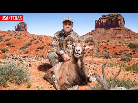 Охота в Техасе: 🇺🇸 по следам Красного барана