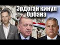 Эрдоган кинул Орбана | Виталий Портников