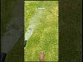 How to water your lawn 💚✅ #agreeinchrist #lawnmaintenance #lawncare #vlog