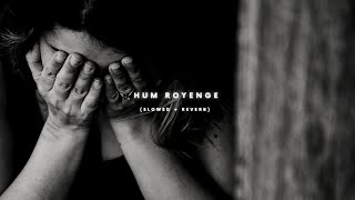 Hum Royenge (Slowed   Reverb) | Aleena Khan | Abbas Khan | Sad Song 2022 | THE SOLITARY MUSICA