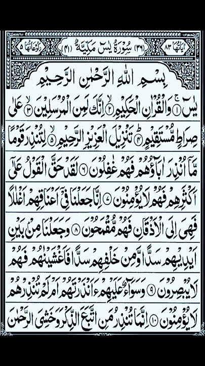 Surah Yaseen (surah Yasin) #surahyaseen