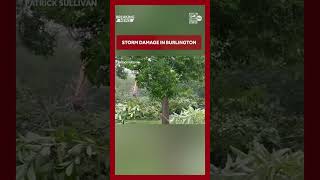 Storm damage in Burlington