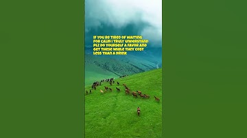 your fast link in bio for peace no more waiting 😤