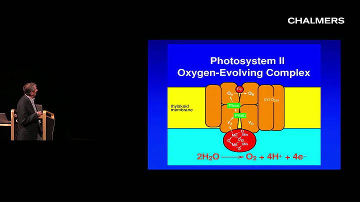 Harry Gray: The Currents of Life: Electron Flow th...