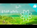 انشودة ياعالي الشأن من احلا الاناشيد واجملها 