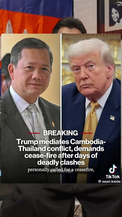 29 July 2025
