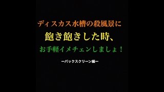 【アクアリウム】ディスカス水槽の景観を変更【バックスクリーン貼り】