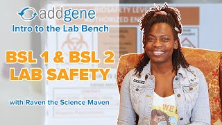 BSL 1 & BSL 2 Safety - Intro to the Lab Bench