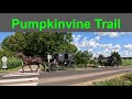 Amish Country Vibes | The Quiet Beauty of the Pumpkinvine Trail 🚴‍♂️🐴- Indiana