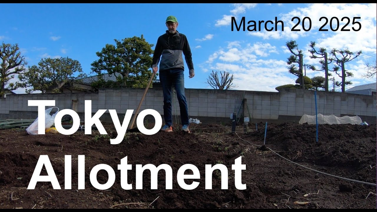 Tokyo Allotment - March 20 2025 (New season!)
