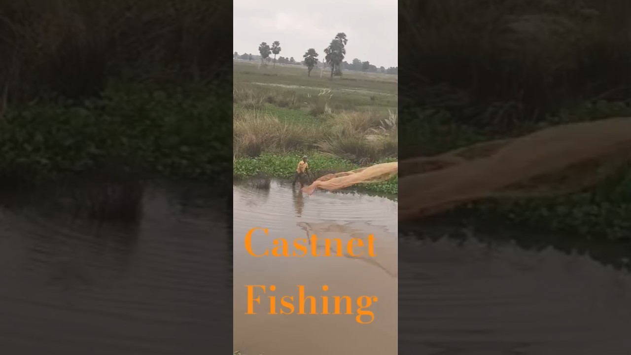 Old fisherman’s perfect cast net throw