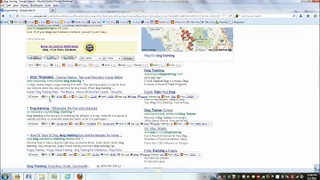 Ocala Florida SEO Tutorial--How To Find High PR Backlinks Using SEO Quake