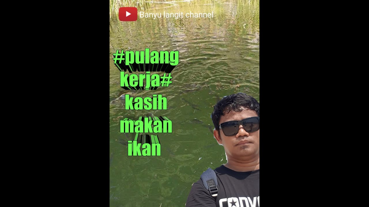 KERJA DIKOREA || PULANG KERJA KASIH MAKAN IKAN - YouTube