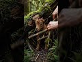 rescue a trapped animal