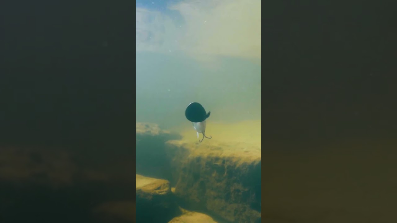 When the Choice is Yours, There’s Only One Option