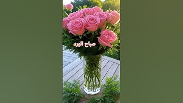 #صباح_الخير #قران_كريم #اذكار_الصباح #اذكار_المساء #لاحول_ولاقوة_الابالله #اكسبلور #استغفر_الله