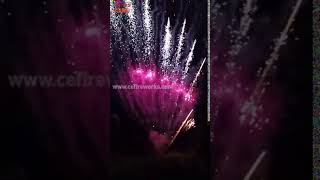 B20201026 40shots Z shape cake Fireworks pyrotechnics Pirotecnico Pirotecnia feuerwerk vuurwerk